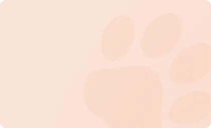 bg-looks