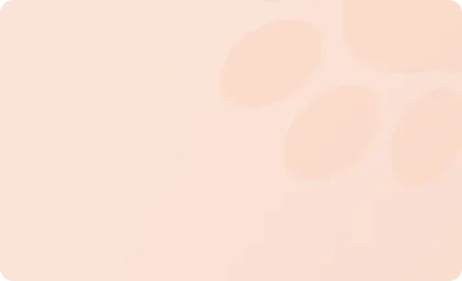 bg-looks