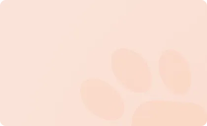 bg-looks