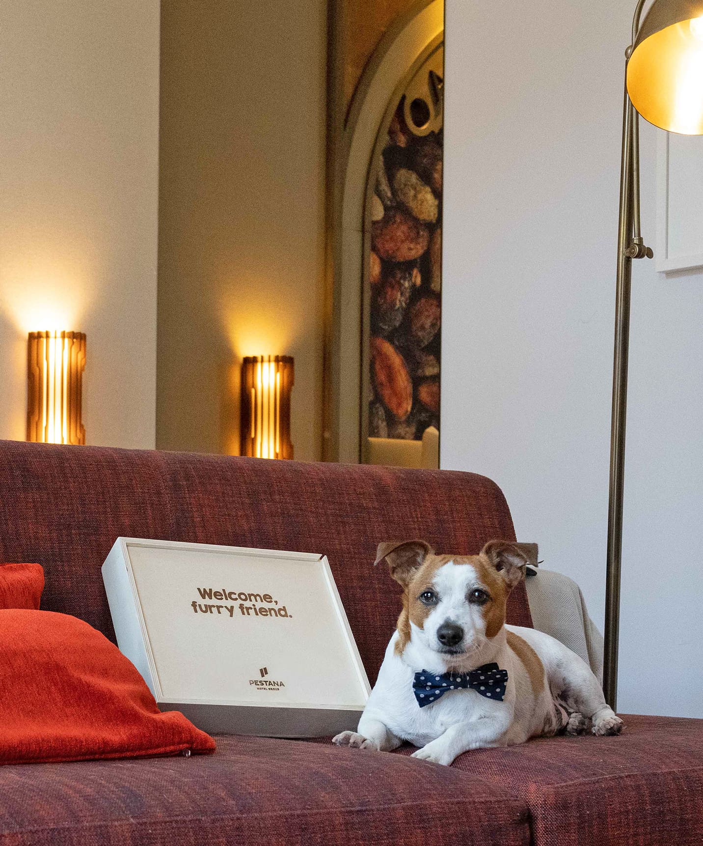 pousada-sagres-facilities-dog-friendly