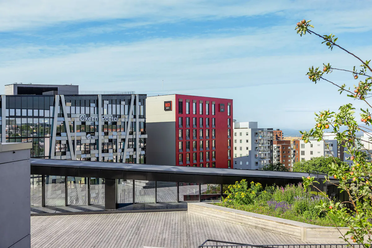 16256-145968-f73321705_4K